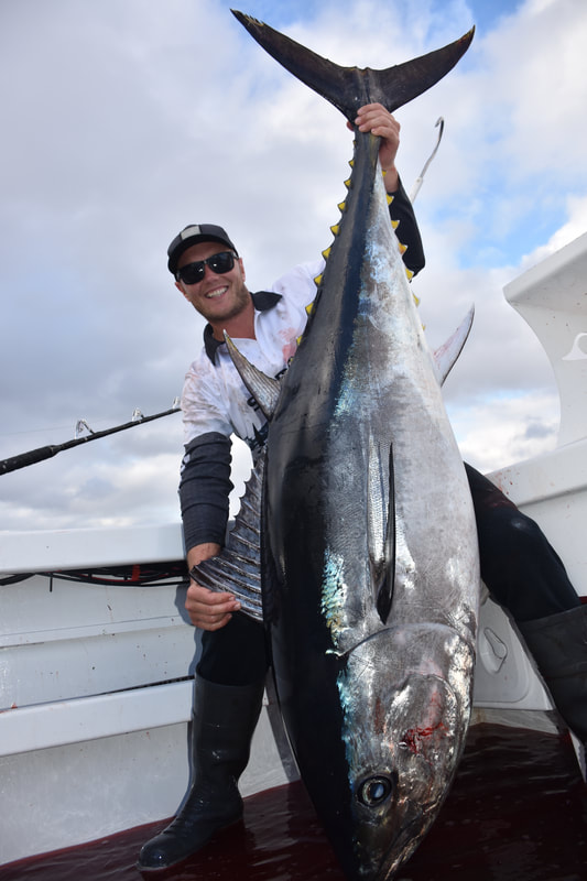 Salty Bones Yellowfin Tuna Profile Fish Decal – Grumpys Tackle