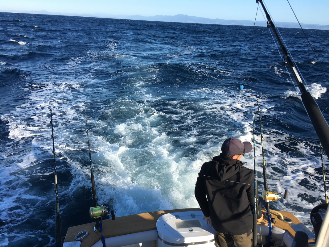 KATUYSHA Fishing Jigging Reel Conventional Reels, Saltwater Lever Drag Reels  Heavy Duty Deep Ocean Big Offshore Reel : : Sports, Fitness &  Outdoors